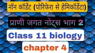 नॉन कॉर्डेट्स नोट्स part 2 Class11 biology Chapter 4 notes in hindi Animal kingdom [upl. by Ruthi]