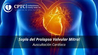 Soplo del Prolapso Valvular Mitral [upl. by Thorn]