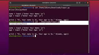 Linux Basics  stdin stdout and stderr  absolute and relative path  GetInfo [upl. by Calmas]