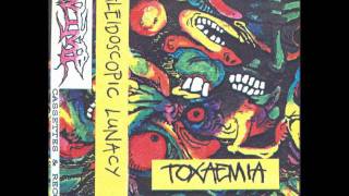 Toxaemia  Kaleidoscopic Demo 91 [upl. by Amehr381]