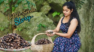 තිත්ත ඇට Watch the Magic Happen Bitter Seeds to Peanuts Turning into a Healthy Treat  Tholol [upl. by Enenaj]