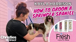 Kayla Harrison How to Groom a Springer Spaniel [upl. by Eserehs]