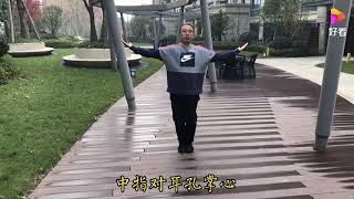 Xinyi Liuhe Quan  Dantian training [upl. by Jem]