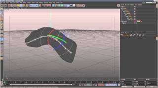 Cinema4D Tutorial Intro to Joints and Skinning Beginner [upl. by Adnalor]