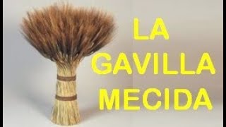 La Gavilla Mecida  Gustavo Castillo Espinel [upl. by Zaria]