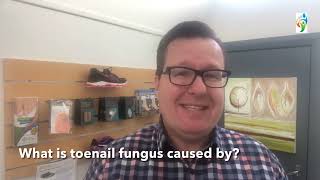 What is toenail fungus caused by [upl. by Ecinahc]