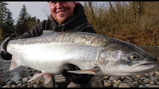 Early Winter Steelhead Broodstock Fishing  Addicted Life Ep 21 [upl. by Strephonn]