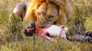 Lion Attack Man in Forest  Lion Attack Hunter  Lion Attack Stories Part7 [upl. by Airamalegna]