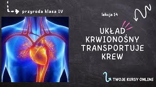 Przyroda klasa 4 Lekcja 14  Układ krwionośny transportuje krew [upl. by Patman]