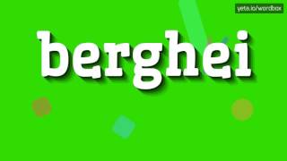 BERGHEI  HOW TO PRONOUNCE IT [upl. by Arreit]