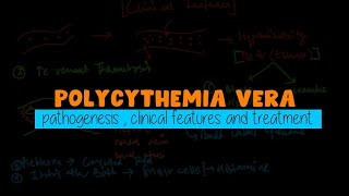 Polycythemia Vera Made Easy  WBC disorders  Usmle Hematology [upl. by Nalniuq200]