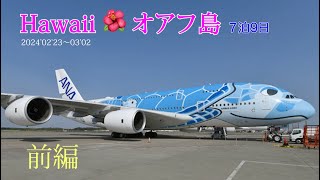 ハワイ🌺【前編】家族旅行 1150円超 子供と老人が楽しんだ７泊9日 [upl. by Ennahoj800]