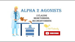 Alpha 2 Agonists  Xylazine Dexmedetomidine  Anesthesia  Part10  BCSE viral subscribe trending [upl. by Nyrroc]