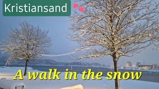 A walk in the snow Kristiansand Norway [upl. by Waxman]