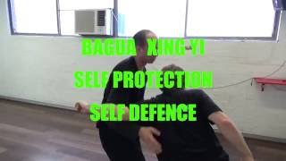 XING YI QUAN amp BAGUA  APPLICATIONS amp FORM  SYDNEY AUSTRALIA [upl. by Yrrem]