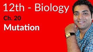 FSc Biology Book 2 Explain Mutation  Ch 20 Chromosomes and DNA  12th Class Biology [upl. by Tuttle]