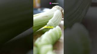 5 Amazing Celery Root Facts You Didnt Know  shorts facts shortsfeed CeleryRoot Celeriac [upl. by Ardnuyek]