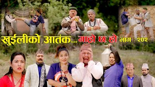 खुईलीको आतंक II Garo Chha Ho II Episode 202 II May 13 2024 II Begam Nepali II Karuna [upl. by Elwaine]