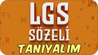 LGS Sözeli Tanıyalım ✍🏻 Hangi Konular Daha Önemli❓ LGS2025 [upl. by Yenmor]