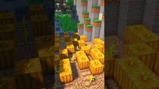 Aesthetic Pumpkin farm  Minecraft 121 [upl. by Alby868]