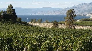 Explore British Columbia FarmtoTable in the Okanagan Valley [upl. by Iduj22]