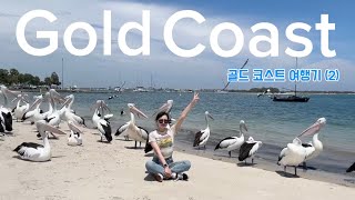 🇦🇺호주vlog 야생펠리컨캥거루코알라 이게호주지  charis seafood Coombabah Lake ConservationPark [upl. by Goober]