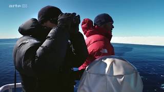 DOCUMENTAIRE  Expédition Antarctica  Sur les traces de lEmpereur HD [upl. by Desirea]