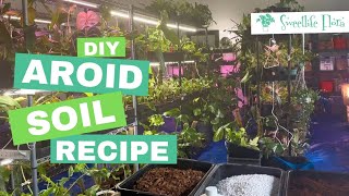 DIY Aroid Soil Mix Recipe [upl. by Liuqnoj]