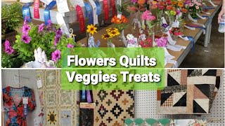 Flowers Veggies Hobbies Textiles amp Culinary Buildings Steele County Fair 2024 Quilts Toys Cakes Art [upl. by Imoyik]