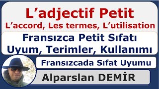 Ladjectif PETIT  Fransızcada Sıfat Uyumu Terimler Kullanım Detaylı Anlatım [upl. by Mattie]