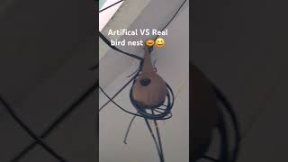 Artificial Vs Real nest 🪹 SAVE NATURE BUY THESE KIND OF THINGS✌️ [upl. by Justin586]