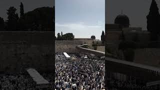 Birkat Kohanim at the Kotel  Pesach 5784 [upl. by Hnamik]