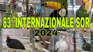 83°edizione dellINTERNAZIONALE SOR 2024 Modena fiere ex Reggio Emilia VIDEO COMPLETO [upl. by Roybn266]