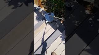 cleaning trex deck with surface cleaner satisfying [upl. by Terhune]