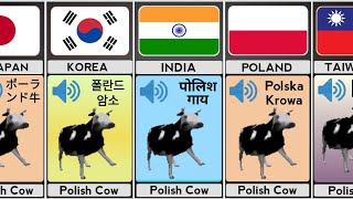 quotPolish Cowquot In Different Languages With Voice [upl. by Jolanta]