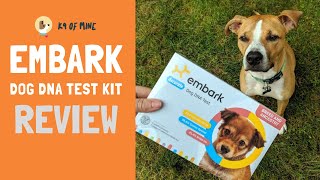 Embark Dog DNA Test Breed Identification Kit Review 2019 [upl. by Haidebez169]