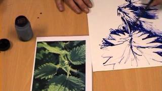 Natural Forms  ink drawing of a nettle [upl. by Mcmaster19]