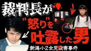 閲覧注意】100人中99人が怒りに震えた許されない隠蔽工作と凶行とは＜ 新潟小2女子事件＞未解決事件→× [upl. by Bahner328]