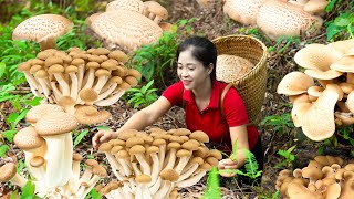 Harvesting Mushroom amp Goes To Market Sell  Gardening And Cooking  Lý Tiểu Vân [upl. by Cerveny59]