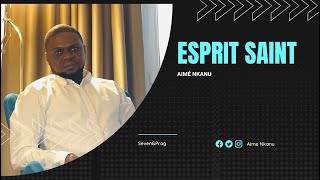 AIME NKANU I ESPRIT SAINT Official Clip [upl. by Atiuqram817]