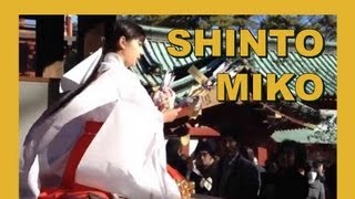 Japan Shinto Miko 巫女 Blessing Ceremony on New Years Day [upl. by Noirrad820]