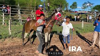 BAGUIRA VS RUFIANA [upl. by Farny]