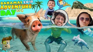 SWIMMING with PIGS in BAHAMAS  IGUANA ISLAND FUNnel Family Exuma Tour Adventure Day 1 [upl. by Theran]