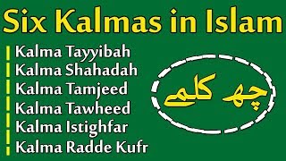 Six Kalimas In Islam  6 Kalmas For Kids  Kids Learning Islam Islamic kalemas [upl. by Nyrrek709]