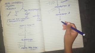 Heme synthesis part 2 [upl. by Nauqet]