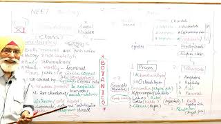 CH  4 ANIMAL KINGDOM  PHYLUM  CHORDATA  CLASS  OSTEICHTHYES  CLASS  XI  NEET BIOLOGY NCERT [upl. by Layod]