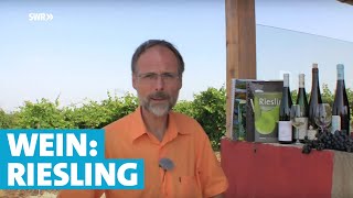 Werner erklärt Wein Riesling [upl. by Larissa]