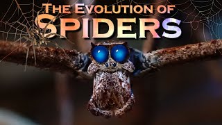 EVOLUTION of SPIDERS [upl. by Polk]