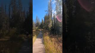 On the way to Devils Kitchen in Lassen Volcanic National Park shorts national park [upl. by Krischer494]