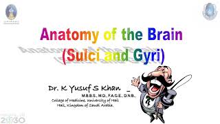 Anatomy of Cerebrum  Dr Yusuf [upl. by Fina40]